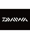 DAIWA