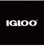 Igloo